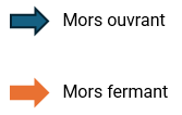 Sens ouverture mors 